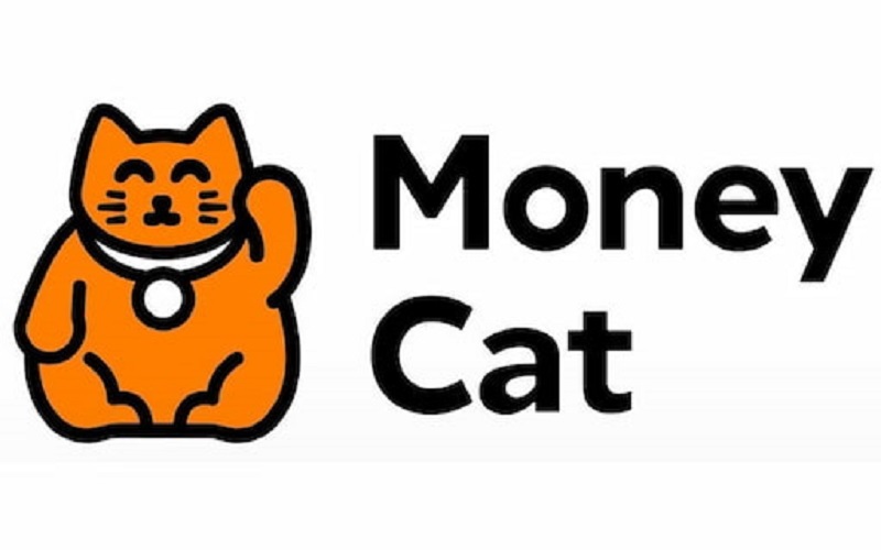 Vì sao khi chơi Win79 nên dùng app MoneyCat để vay tiền online thay vì vay trực tiếp